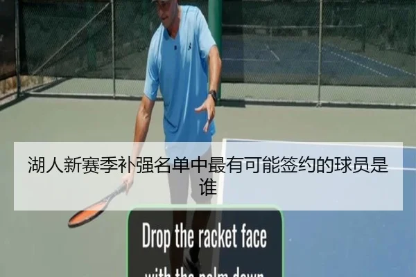 湖人新赛季补强名单中最有可能签约的球员是谁